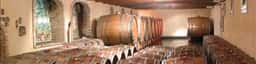 Deltetto Wines Piedmont