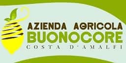 Buonocore Amalfi Lemons ine Companies in - Italy Traveller Guide