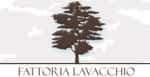 Fattoria Lavacchio Wines Accommodation xtra virgin Olive Oil Producers in - Locali d&#39;Autore