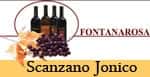 Fontanarosa Basilicata Wines ine Cellar in - Locali d&#39;Autore