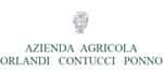 Orlandi Contucci Ponno Abruzzo Wines rappa Wines and Local Products in - Locali d&#39;Autore