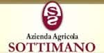 Sottimano Vini Piemonte antine in - Locali d&#39;Autore