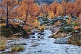 ago d&#39;Arpy: un paradiso autunnale nella Valle d’Aosta - Italy traveller Guide